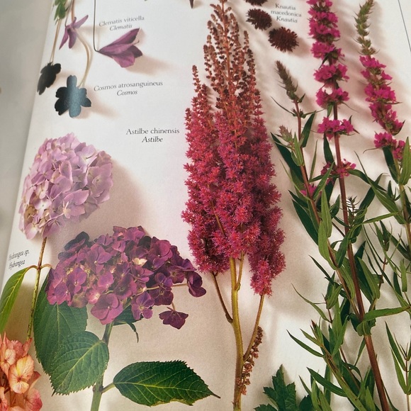 The book of Pot Pourri by Penny Black - Picture 4 of 7